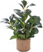 12.6" Fake Plants in Brown Ceramic Vase Real Looking and Touching Evergreen Ficu... - Image 2