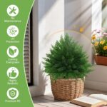 Grooy Artificial CedarTopiary Bushes for Outdoors with Spike, Set of 2 Cypress T... - Image 3