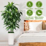 Artificial Dracaena Tree Indoor, 5FT Tall Fake Tree with White Tall Planter, Art... - Image 4
