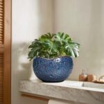 10 Inch Plant Pot - Ceramic Planter for Indoor Outdoor, Round Bonsai Pots, Decor... - Image 6