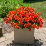 Artificial Faux Flowers Plants for Spring Outdoor Outside Decor, Fake Silk Orang... - Image 3