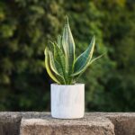 Ekirlin 6 Inch Resin Plant Pot Indoor - Natural Marble Texture Garden Planter wi... - Image 3
