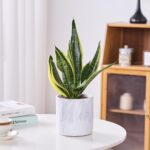 Ekirlin 6 Inch Resin Plant Pot Indoor - Natural Marble Texture Garden Planter wi... - Image 4