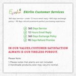 Ekirlin 6 Inch Resin Plant Pot Indoor - Natural Marble Texture Garden Planter wi... - Image 7