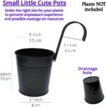 LaLaGreen Small Hanging Planters - 10 Pack, 4 Inch Black Metal Bucket Small Flow... - Image 3