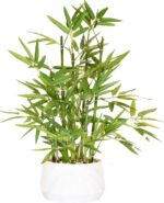 365 Blooming Decor 18 inch Tall White Potted Artificial Bamboo Plant- Luxury Art... - Image 2