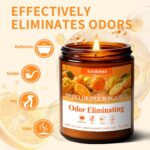 Sweet Orange Bergamot Odor Eliminating Candle | Eliminates 95% of Pet, Smoke & B... - Image 4