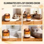 Sweet Orange Bergamot Odor Eliminating Candle | Eliminates 95% of Pet, Smoke & B... - Image 6