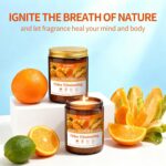 Sweet Orange Bergamot Odor Eliminating Candle | Eliminates 95% of Pet, Smoke & B... - Image 9