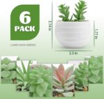 Der Rose Set of 6 Succulents Plants Artificial in Pots Small Fake Plants for Bed... - Image 3