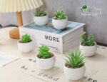 Der Rose Set of 6 Succulents Plants Artificial in Pots Small Fake Plants for Bed... - Image 7