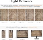 HUGEAR Area Rug 8x10 Vintage Brown Machine Washable Living Room Rugs Distressed ... - Image 5
