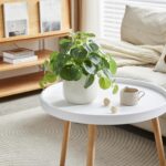 365 Blooming Decor Artificial Pilea Plant – Luxury Potted Money Plant in White T... - Image 3