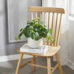 365 Blooming Decor Artificial Pilea Plant – Luxury Potted Money Plant in White T... - Image 5