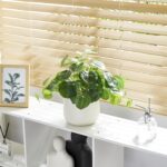 365 Blooming Decor Artificial Pilea Plant – Luxury Potted Money Plant in White T... - Image 7