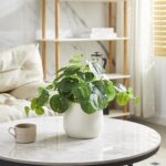 365 Blooming Decor Artificial Pilea Plant – Luxury Potted Money Plant in White T... - Image 8