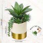 Hollyone Large Artificial Succulents Plants Faux Succulents 12" Fake Succulent P... - Image 4