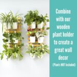 LaLaGreen Hanging Planters - 10 Pack, 4 Inch Balcony Railing Hanging Herb Garden... - Image 5