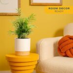 Costa Farms Parlor Palm Live Plant in Decorative Pot, Air Purifying Indoor House... - Image 3