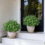 Set of 2 Artificial Boxwood Topiary Trees for Front Door - Faux Realistic Greene... - Image 3
