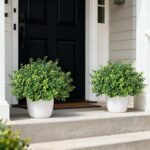 Set of 2 Artificial Boxwood Topiary Trees for Front Door - Faux Realistic Greene... - Image 5