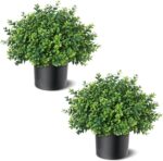 Set of 2 Artificial Boxwood Topiary Trees for Front Door - Faux Realistic Greene... - Image 6