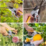 Premium Germany Pruning Shears, Work 3 Times Easier, Pruners Heady Duty, Sharp G... - Image 8