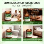 Mint Eucalyptus Odor Eliminating Candles | Eliminates 95% of Pet, Smoke & Bathro... - Image 6