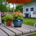 6 Inch Plant Pot - Ceramic Pots for Plants with Drainage Hole and Saucer, Round ... - Image 5