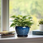 6 Inch Plant Pot - Ceramic Pots for Plants with Drainage Hole and Saucer, Round ... - Image 6