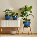 6 Inch Plant Pot - Ceramic Pots for Plants with Drainage Hole and Saucer, Round ... - Image 8