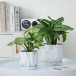 White Plant Pots Set of 2 Planters 4 and 5 Inch with Saucer Tray, Mesh Pad, Drai... - Image 3