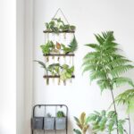 Mkono Plant Propagation Tubes, 3 Tiered Wall Hanging Terrarium with Wooden Stand... - Image 3