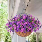 Artificial Silk Flowers Hanging Baskets Outdoors Indoors, Daisy with Eucalyptus ... - Image 6
