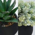 Winlyn Set of 3 Artificial Succulent Plants in Black Concrete Pots Faux Aloe Hop... - Image 4