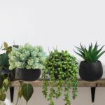 Winlyn Set of 3 Artificial Succulent Plants in Black Concrete Pots Faux Aloe Hop... - Image 5