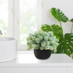 Winlyn Set of 3 Artificial Succulent Plants in Black Concrete Pots Faux Aloe Hop... - Image 7
