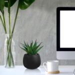Winlyn Set of 3 Artificial Succulent Plants in Black Concrete Pots Faux Aloe Hop... - Image 8