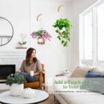 10 Inch Hanging Planters for Indoor Plants, 2 Pack Self Watering Hanging Baskets... - Image 3