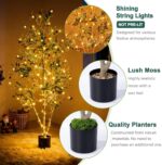 Olive Trees Artificial Indoor, 5FT Tall Faux Olive Tree with Moss and Planter, A... - Image 4
