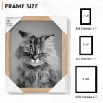 Venusmiles 15 Pack Picture Frames Collage Wall Decor, Gallery Frame Set for Wall... - Image 4