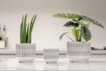 Docrin 3-Pack Ceramic Planters Set - 6.5"+5.3"+4" Dual-Tone Flower Pots with Dra... - Image 3