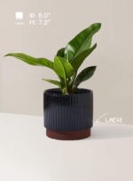 LE TAUCI Ceramic Plant Pots with Drainage Holes, Set of 3, 8+6.7+5.5 Inch Stripe... - Image 4