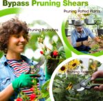 WORKPRO Garden Pruning Shears 2 Pack, 8" Bypass Pruning Shears and 6.25" Straigh... - Image 5