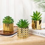 Briful Succulents Plants Artificial in Gold Ceramic Pots (Set of 3), Small Fake ... - Image 3