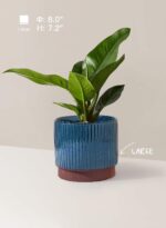 LE TAUCI Ceramic Pots for Plants, 8+6.7+5.5 Inch Plant Pots Indoor, Flower Pot w... - Image 4
