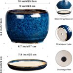 SQOWL 10 Inch Plant Pot - Ceramic Planter Pot with Drainage Hole and Saucer, Dec... - Image 4