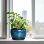 SQOWL 10 Inch Plant Pot - Ceramic Planter Pot with Drainage Hole and Saucer, Dec... - Image 5