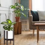 D'vine Dev Planter Pot with Stand - 8 Inch Plastic Cylinder Flower Pot with Wood... - Image 5
