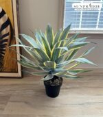 SUNPRAIRIE 32 Inch Tall Large Faux Agave Plant with Two-Tone Sawtooth Edged Leav... - Image 4